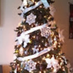 Meet your Posher, Daniela